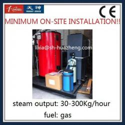 3HP 102psi Water Tube Type Natural Gas Steam Boiler