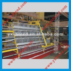 4 tiers Poultry Layer Cage