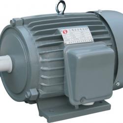 4kw AEEF112M-4 Three Phase AC Electric Motor 1450RPM Taiwan Style