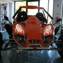 600CC Manual Racing EEC Buggy 4X4