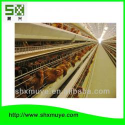 9TLXD 4200 original design A type automatic folding chicken farm equipment for sale