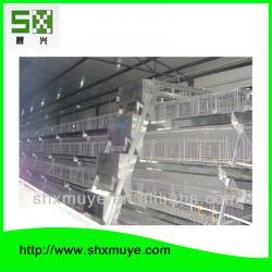 9TLXY 4288 professional original design chicken egg layer cages