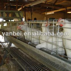 9WCD-232 A-type Hot Galvanized Parenting Broiler Coop