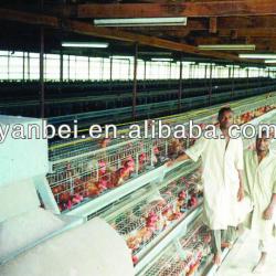 9WCD-3120 A-type Hot Galvanized Layer Chicken Cage