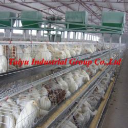 A type chicken cage factory