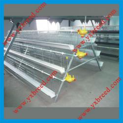 A type chicken layer battery cage