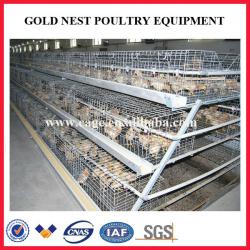 A-type hot galvanized pullet chicken cage