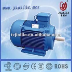 AC three phase electrical motor