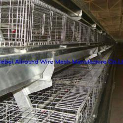 Advanced full automatic layer poultry farming equipment