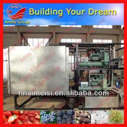 AMS-FD10C vegetable vacuum freeze dry/Fruit freeze dry machine