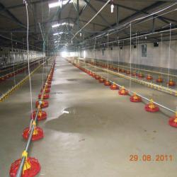 animal feeders automatic pan style feeding system