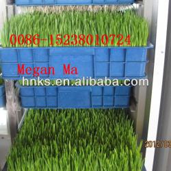 animal fodder making machine/animal hydroponic fodder machine/rabbits fodder making machine