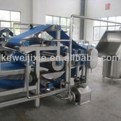 Apple peach various fruirs juice making belt industrial press machine