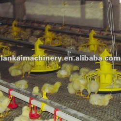 automatic broiler chicken feeding machine/chicken breeding system/chicken feeding equipment