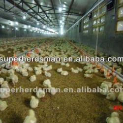 automatic chicken farm