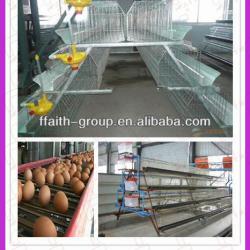 automatic chicken layer cage for poultry house