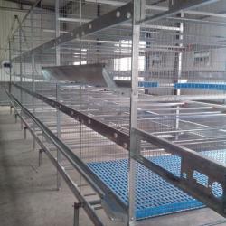 automatic feeding equipment