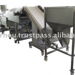 Automatic Fryer Machine