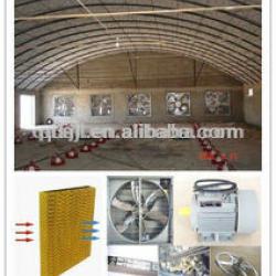 automatic layer poultry equipment