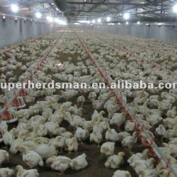 automatic poultry equipment