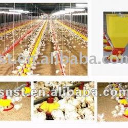 Automatic poultry equipment for broiler