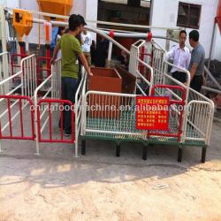 Automatic poultry layer farming equipment for pigs