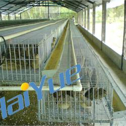 Automatic Quail Cage