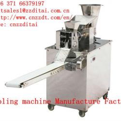 Automatic stainless steel dumpling machines