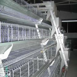 batteries for laying hens,automatic poultry equipment