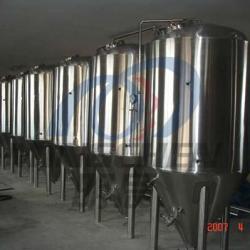 Beer Fermentor