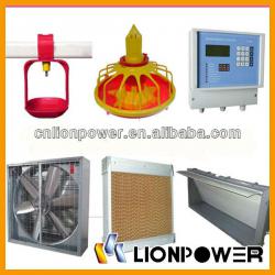 Best automatic sheds for poultry broiler chicken farm