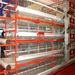 best price chicken cage for Kenya market