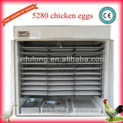 Best quality 5280 chicken egg incubator/temperature/humidity controller