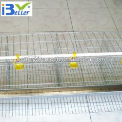 Best selling BT factory A-120 layer cages for kenya farm(Welcome to Visit my factory)