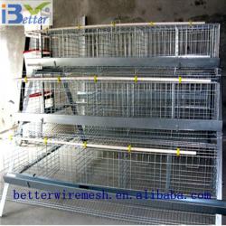 Best selling BT factory A-160 type automatic poultry cages(Welcome to Visit my factory)