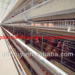 best selling chicken layer cage