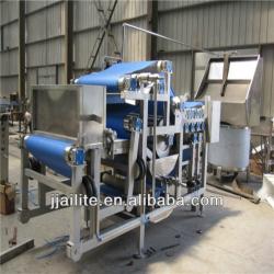 best selling for fully automatic fruit belt press filter