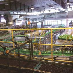 beverage conveyor system