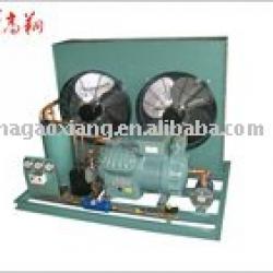 Bitzer Air-cooled Condensing unit(medium and low temperature)