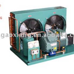 Bitzer Refrigeration Air Cooled Unit