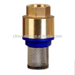 brass check Valve