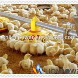 broilers and breeders feeder