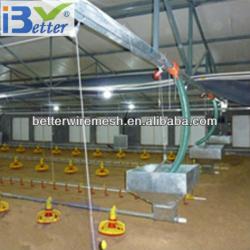 BT factory industrial chicken coop for broiler chicken