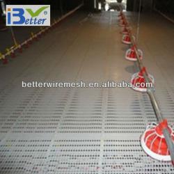 BT factory poultry chicken farm for broiler chicken