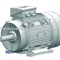 CAG HAD Three Phase Multispeed AC Motor