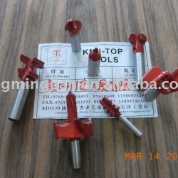 Carbide Inser Router Bits