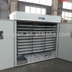 CE approved automatic incubator 5000 chicken eggs/egg incubator/incubator eggs