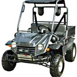 Cheap 200cc Stomper 4 Stroke UTV Utility Vehicle from USA