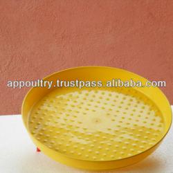 Chick Feeder Tray