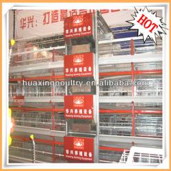 chicken battery cages laying hens